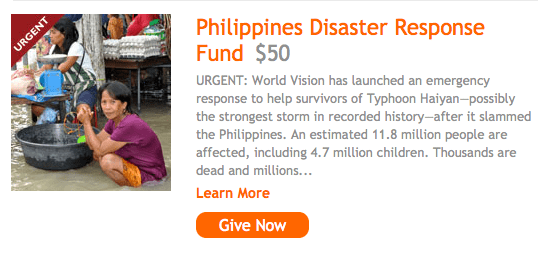 world vision fund.