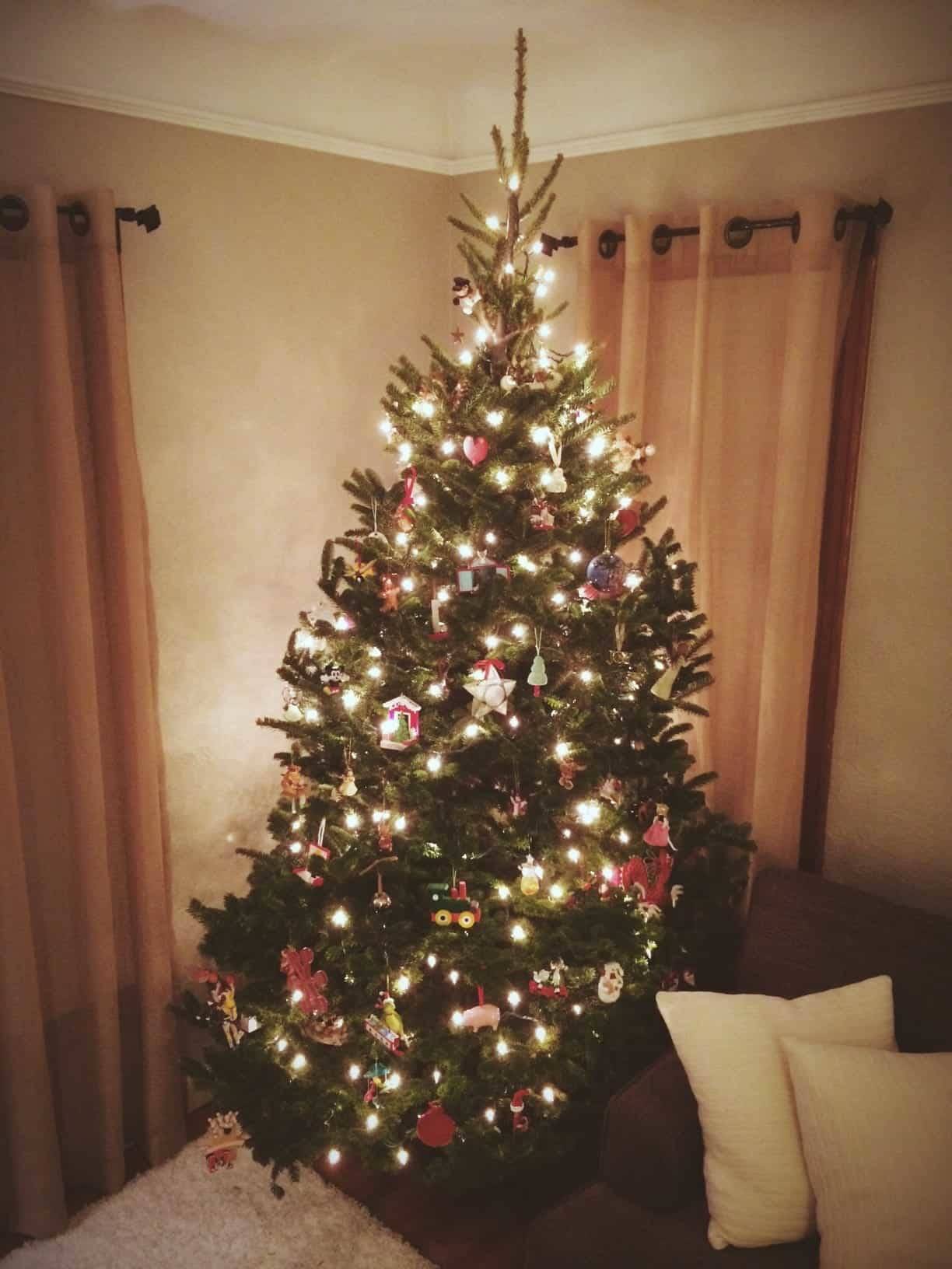 Christmas tree.