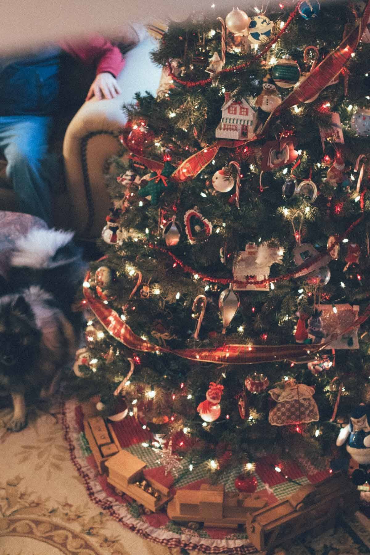 Christmas Tree.